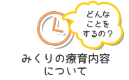 プログラムの内容 1日の流れ